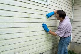 Affordable Siding Repair and Maintenance Services in Garland, TX